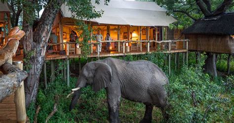 Tubu Tree Camp, Okavango Delta .